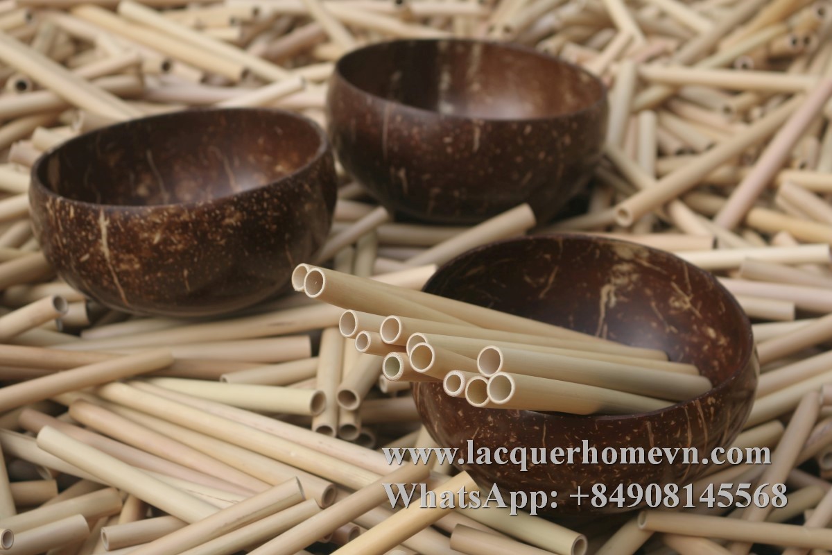 Natural coconut bowl with bamboo straws